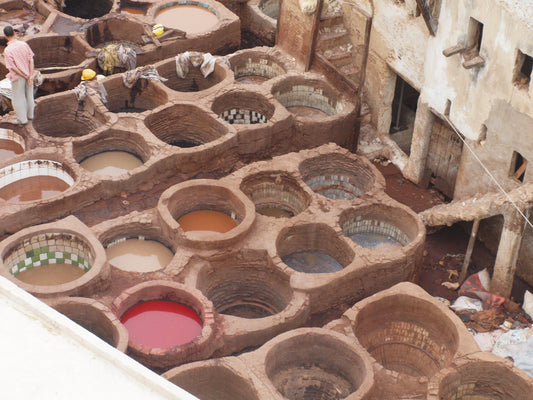 Sustainability in Leather: What You Should Know